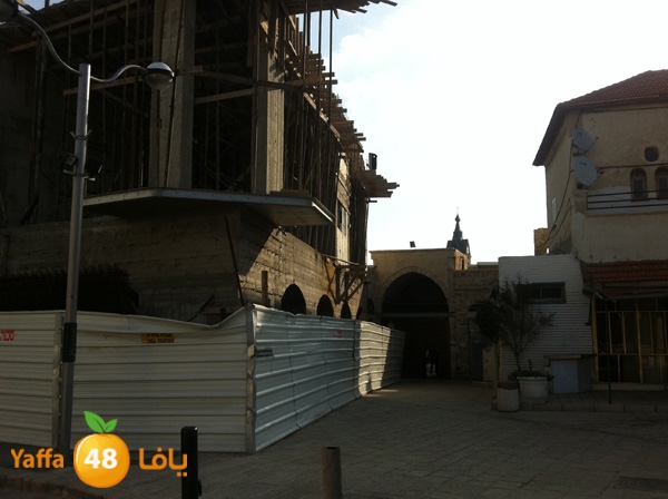 msjaedyaffa831 (4).JPG